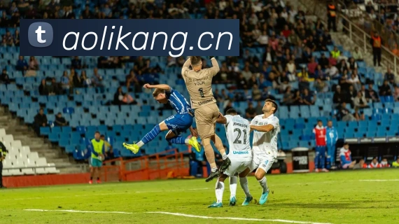 体育365-beat365平台生态图